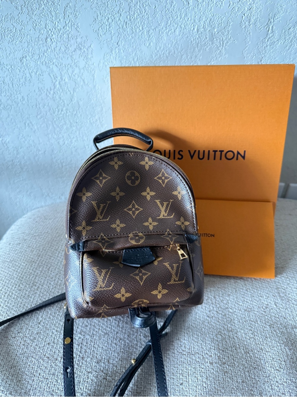Louis Vuitton Palm Springs Mini
